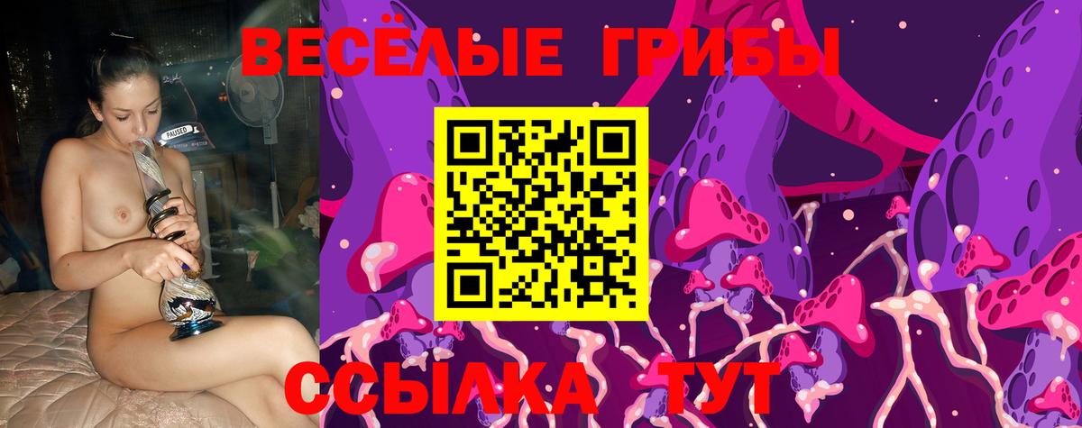 где можно купить наркотик  Галлюциногенные грибы мицелий  Вход с VPN  Шелехов 